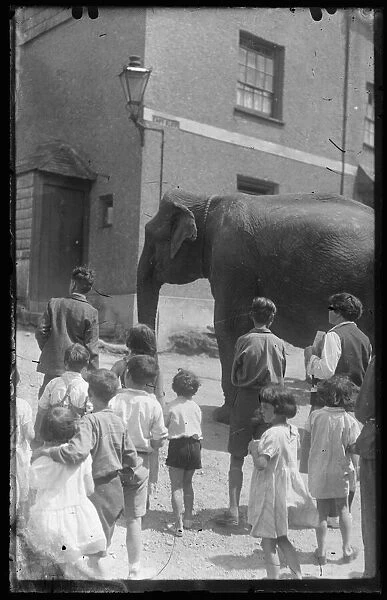 Circus elephant on Castle St, East Looe