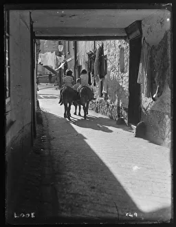 children donkeys passageway arch house