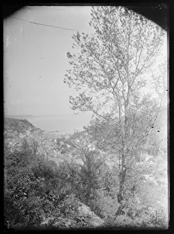 Looe & The Bay, general view from West Looe Downs